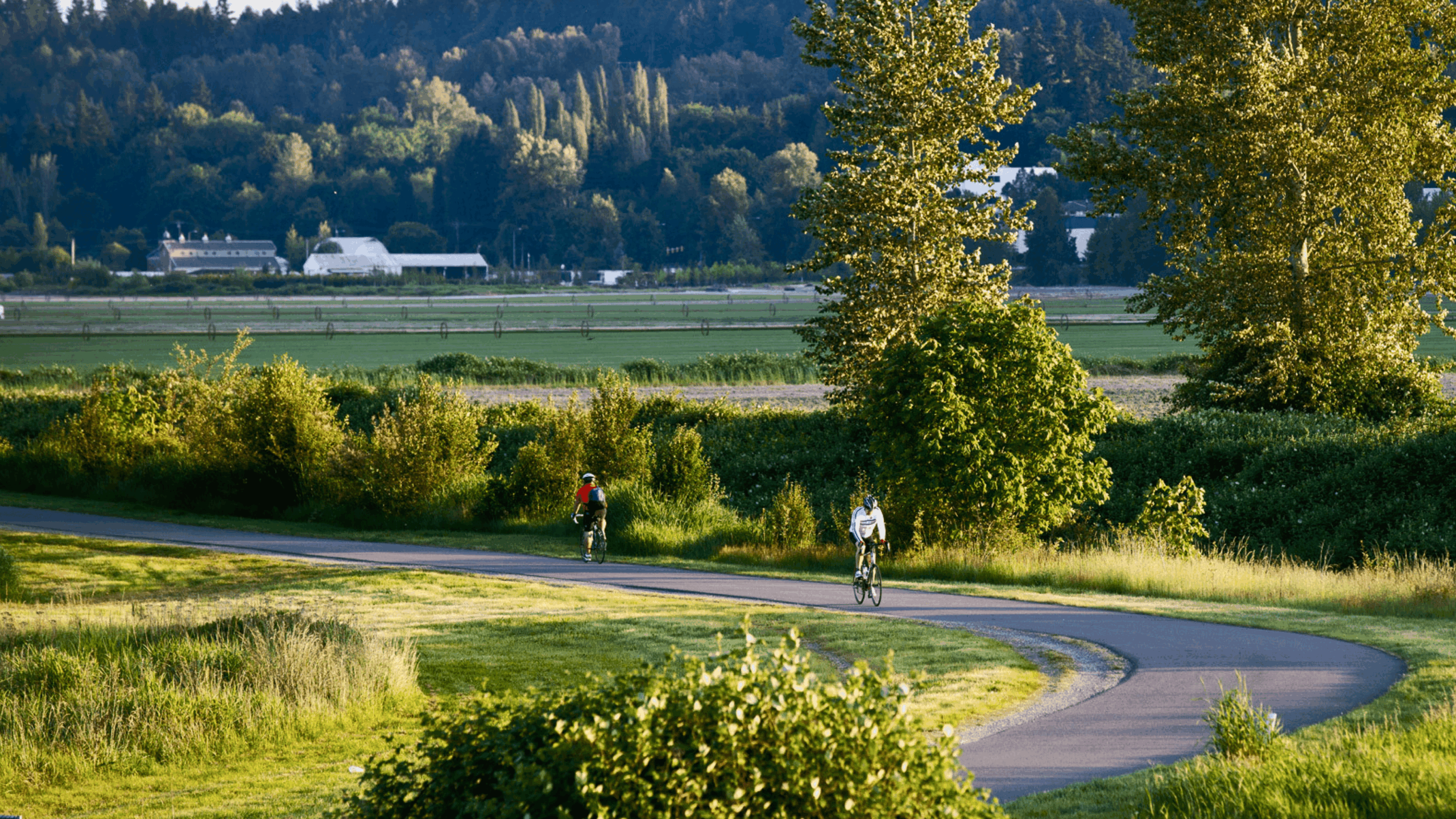 DISCOVER WOODINVILLE