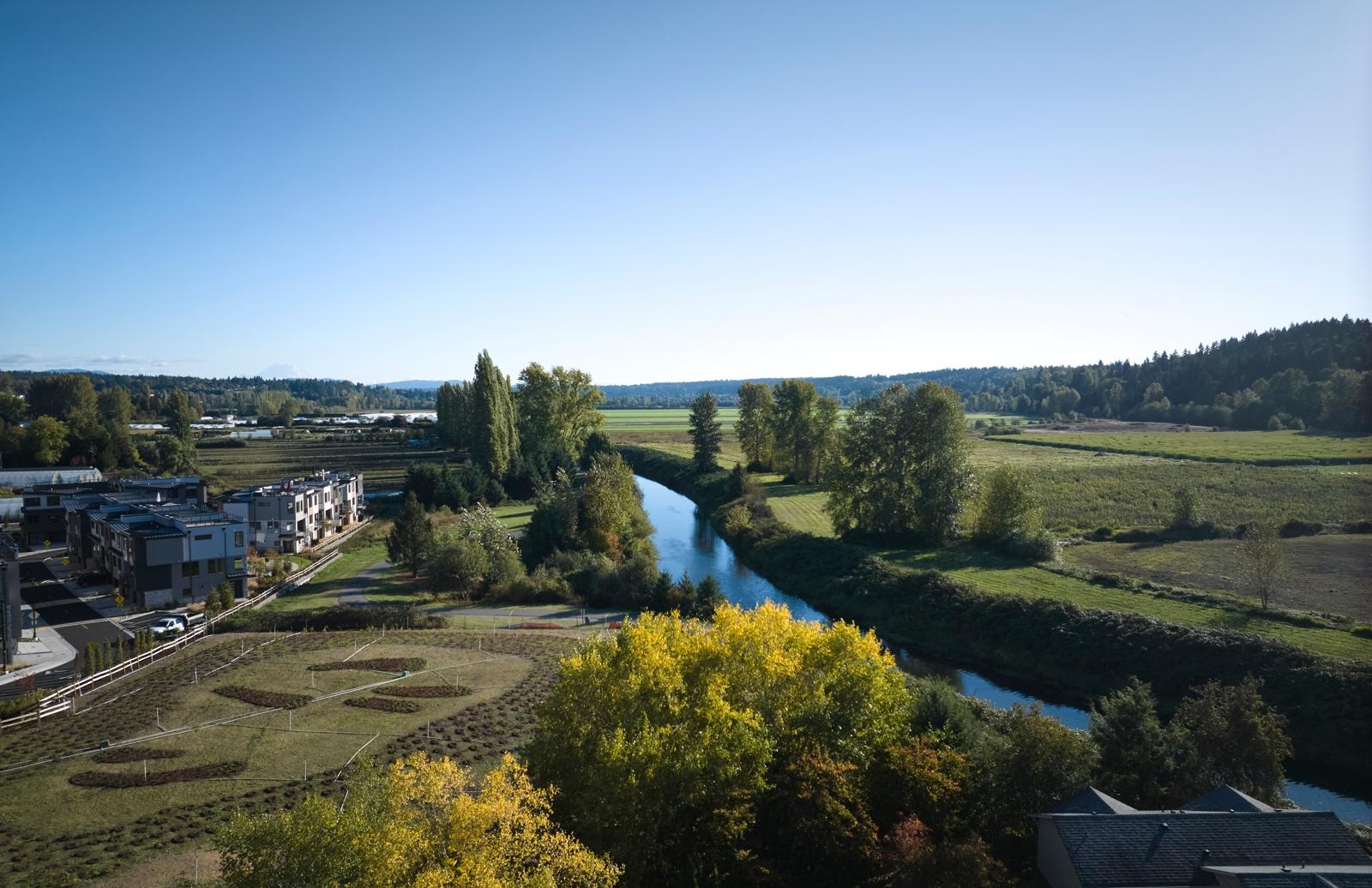 Default placeholder image