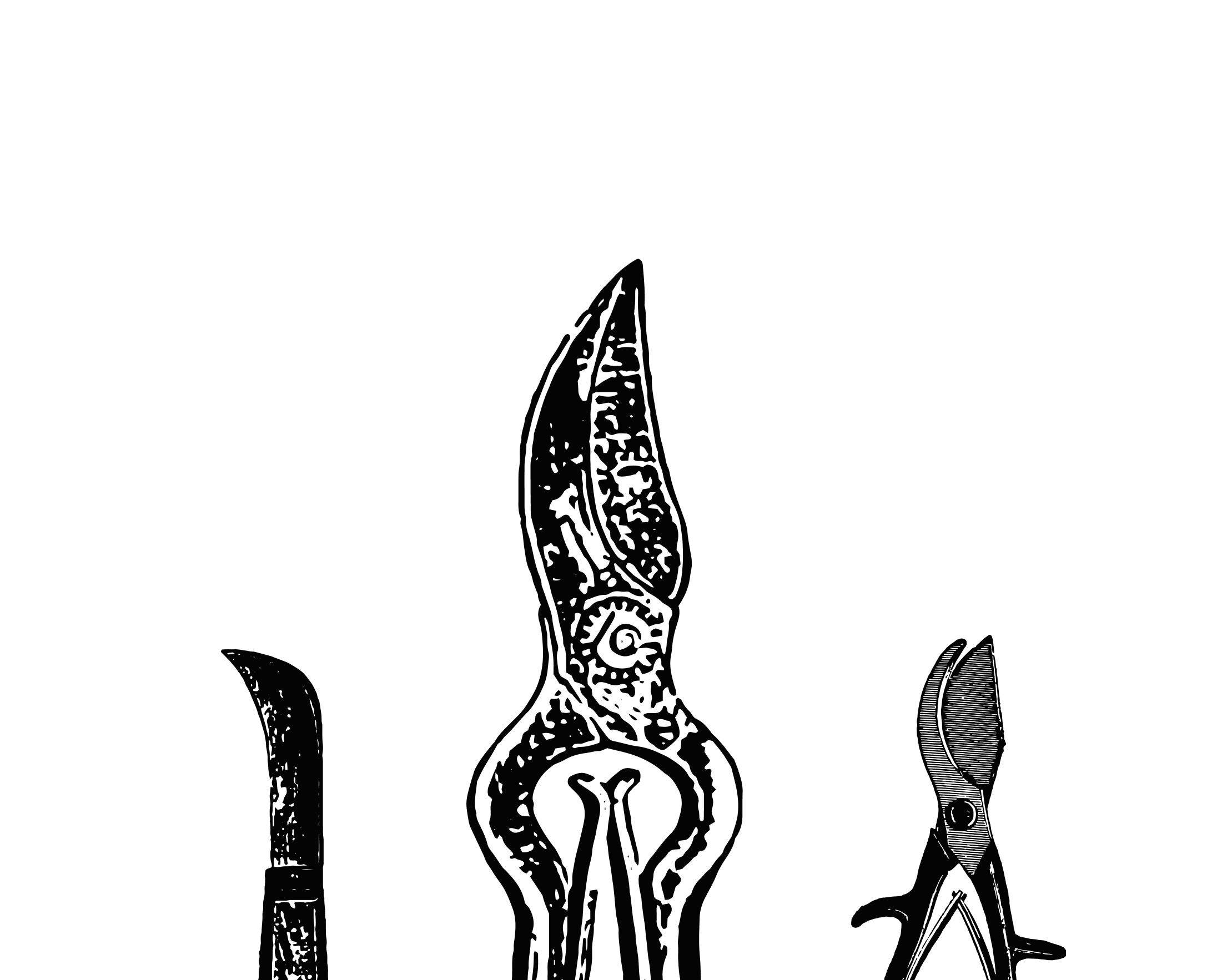 Default placeholder image